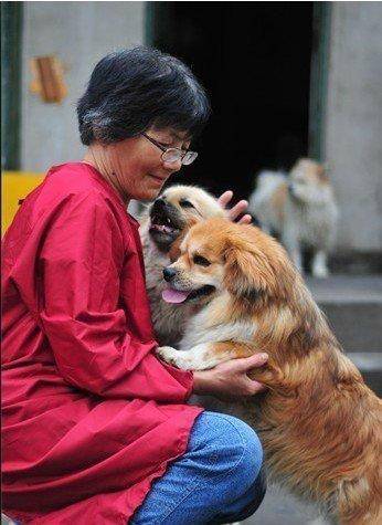 皇冠信用网_合肥卖房救助流浪狗的魏阿姨离世皇冠信用网，病中仍然惦记着基地的600只流浪狗，工人：不敢相信世上还有这样执着的人